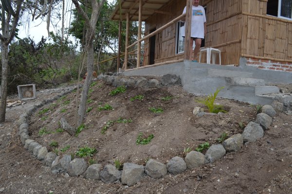 Planting area in front of casita